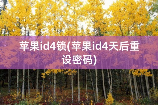 苹果id4锁(苹果id4天后重设密码)