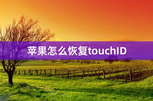 苹果怎么恢复touchID