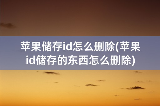 苹果储存id怎么删除(苹果id储存的东西怎么删除)