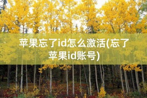 苹果忘了id怎么激活(忘了苹果id账号)