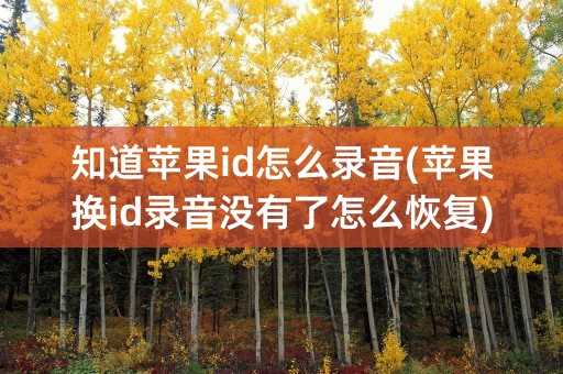 知道苹果id怎么录音(苹果换id录音没有了怎么恢复)