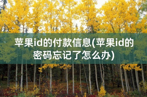 苹果id的付款信息(苹果id的密码忘记了怎么办)