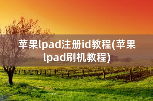 苹果lpad注册id教程(苹果lpad刷机教程)