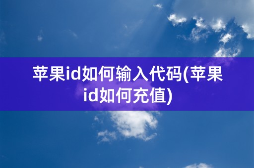 苹果id如何输入代码(苹果id如何充值)