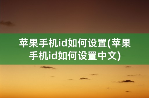 苹果手机id如何设置(苹果手机id如何设置中文)