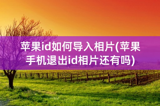 苹果id如何导入相片(苹果手机退出id相片还有吗)