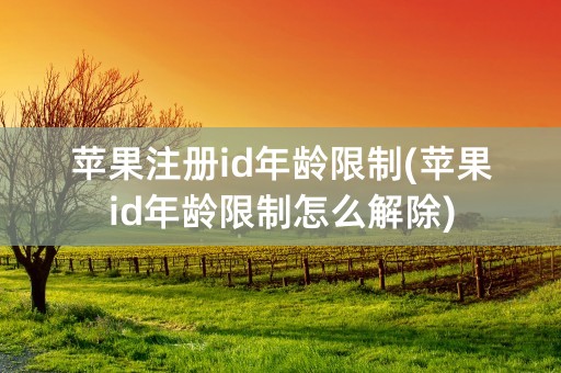 苹果注册id年龄限制(苹果id年龄限制怎么解除)