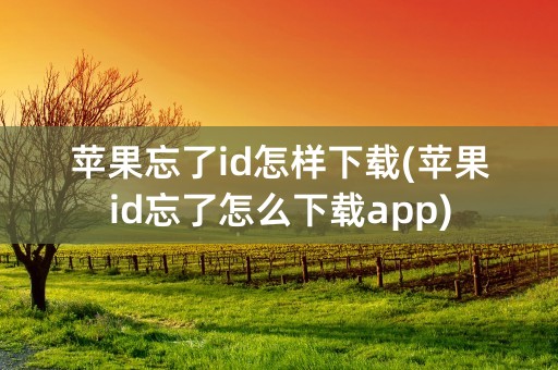 苹果忘了id怎样下载(苹果id忘了怎么下载app)