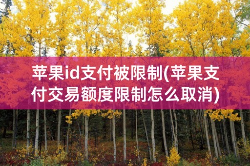 苹果id支付被限制(苹果支付交易额度限制怎么取消)