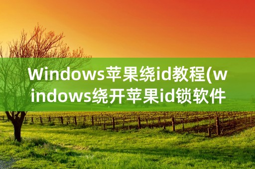 Windows苹果绕id教程(windows绕开苹果id锁软件)