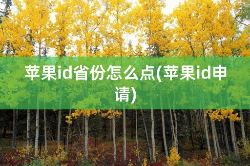 苹果id省份怎么点(苹果id申请)