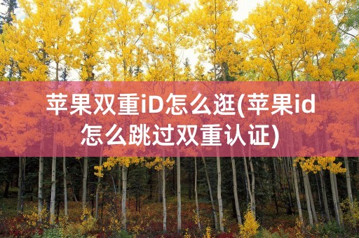 苹果双重iD怎么逛(苹果id怎么跳过双重认证)