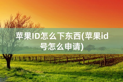 苹果ID怎么下东西(苹果id号怎么申请)