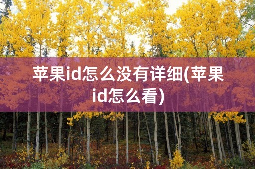 苹果id怎么没有详细(苹果id怎么看)