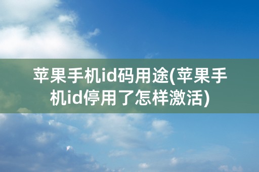 苹果手机id码用途(苹果手机id停用了怎样激活)