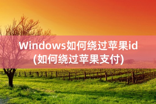 Windows如何绕过苹果id(如何绕过苹果支付)