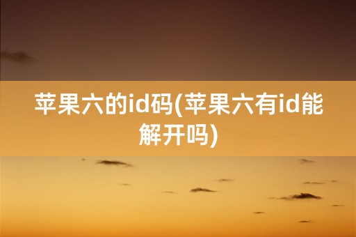 苹果六的id码(苹果六有id能解开吗)