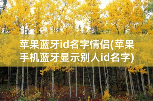 苹果蓝牙id名字情侣(苹果手机蓝牙显示别人id名字)