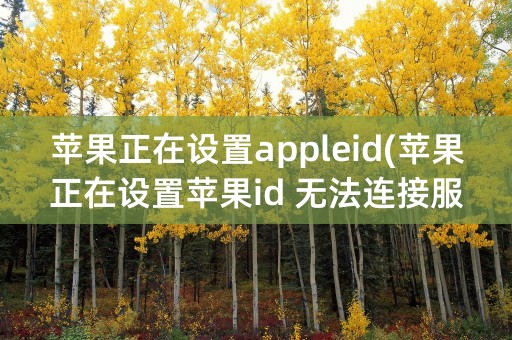 苹果正在设置appleid(苹果正在设置苹果id 无法连接服务器怎么办)