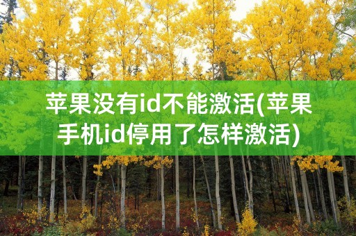 苹果没有id不能激活(苹果手机id停用了怎样激活)