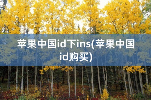 苹果中国id下ins(苹果中国id购买)