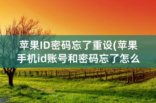 苹果ID密码忘了重设(苹果手机id账号和密码忘了怎么办)