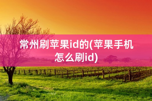 常州刷苹果id的(苹果手机怎么刷id)