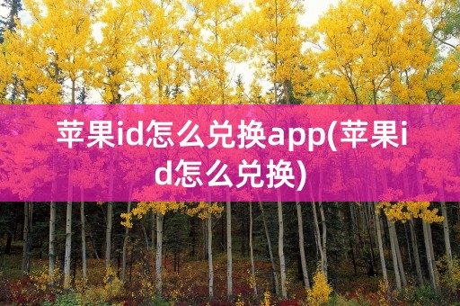 苹果id怎么兑换app(苹果id怎么兑换)