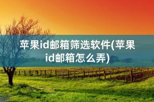 苹果id邮箱筛选软件(苹果id邮箱怎么弄)