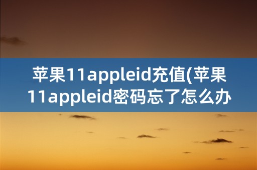 苹果11appleid充值(苹果11appleid密码忘了怎么办)