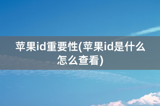 苹果id重要性(苹果id是什么怎么查看)