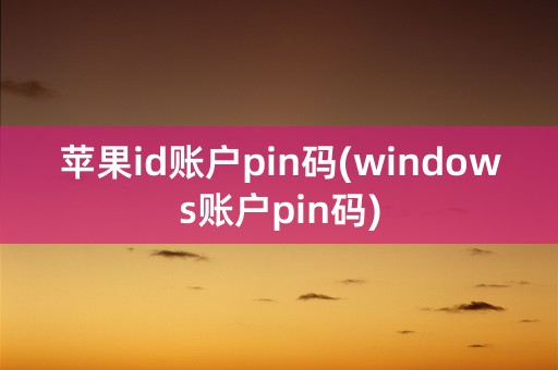 苹果id账户pin码(windows账户pin码)