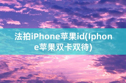 法拍iPhone苹果id(Iphone苹果双卡双待)