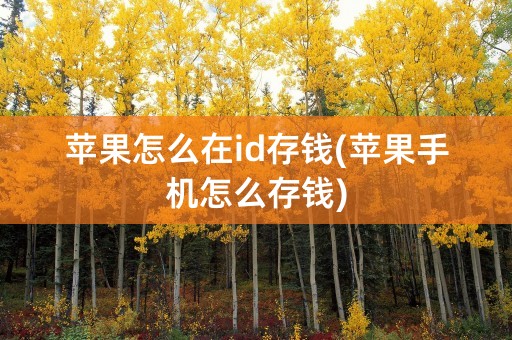 苹果怎么在id存钱(苹果手机怎么存钱)