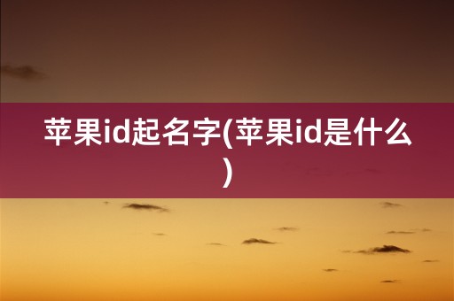 苹果id起名字(苹果id是什么)