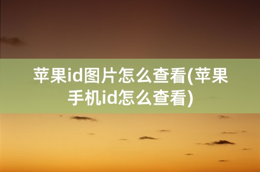 苹果id图片怎么查看(苹果手机id怎么查看)