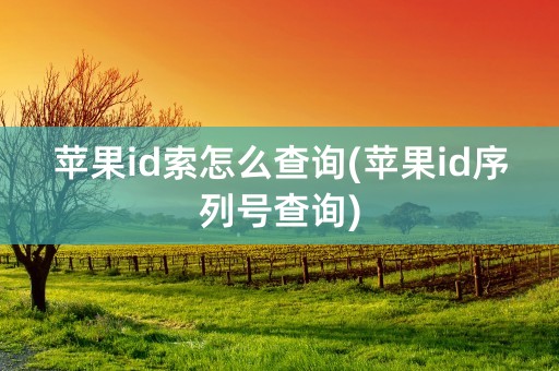 苹果id索怎么查询(苹果id序列号查询)