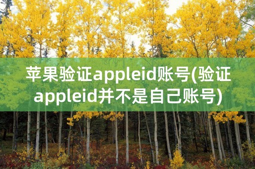 苹果验证appleid账号(验证appleid并不是自己账号)