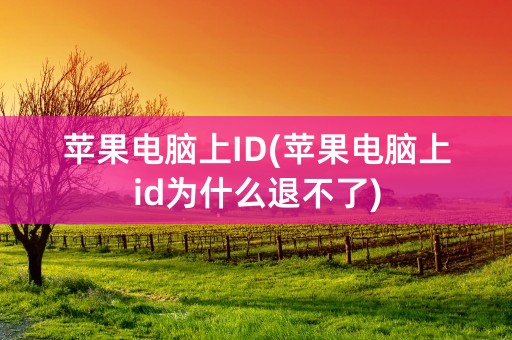 苹果电脑上ID(苹果电脑上id为什么退不了)