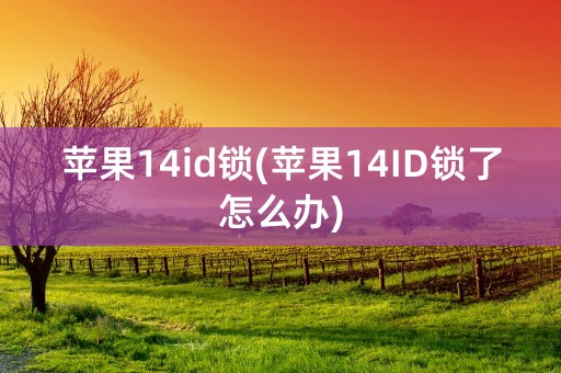 苹果14id锁(苹果14ID锁了怎么办)