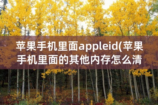 苹果手机里面appleid(苹果手机里面的其他内存怎么清理)