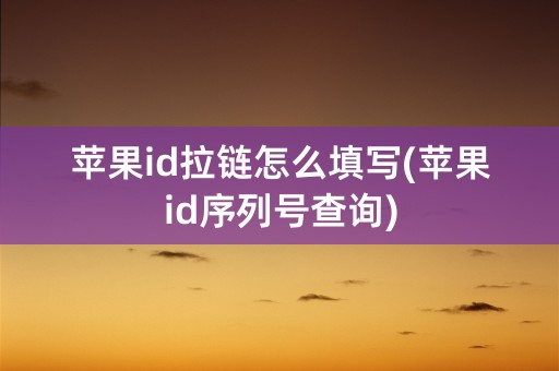 苹果id拉链怎么填写(苹果id序列号查询)