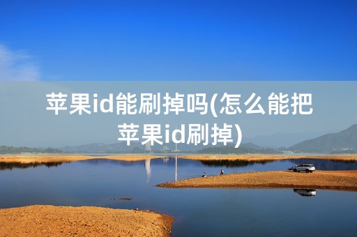 苹果id能刷掉吗(怎么能把苹果id刷掉)