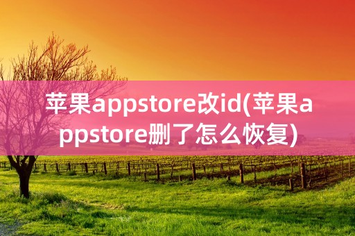 苹果appstore改id(苹果appstore删了怎么恢复)