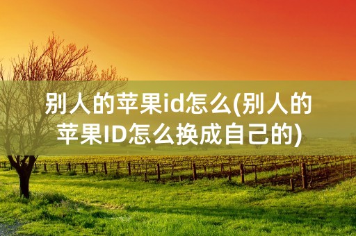 别人的苹果id怎么(别人的苹果ID怎么换成自己的)