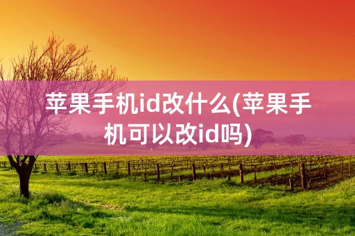 苹果手机id改什么(苹果手机可以改id吗)