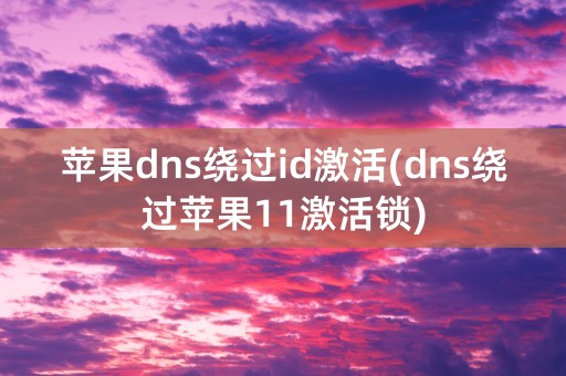 苹果dns绕过id激活(dns绕过苹果11激活锁)