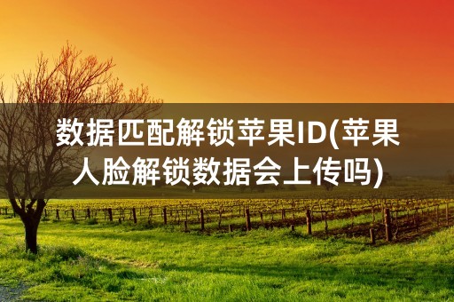 数据匹配解锁苹果ID(苹果人脸解锁数据会上传吗)