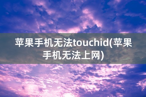 苹果手机无法touchid(苹果手机无法上网)