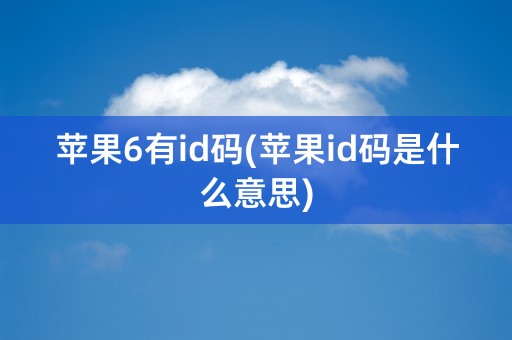 苹果6有id码(苹果id码是什么意思)